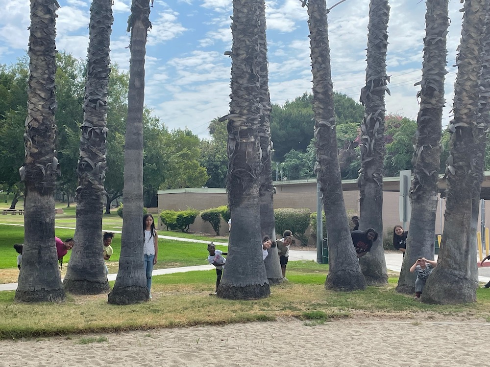 Kids are peeking from behind the palm trees, surprise for the camera to take a picture.